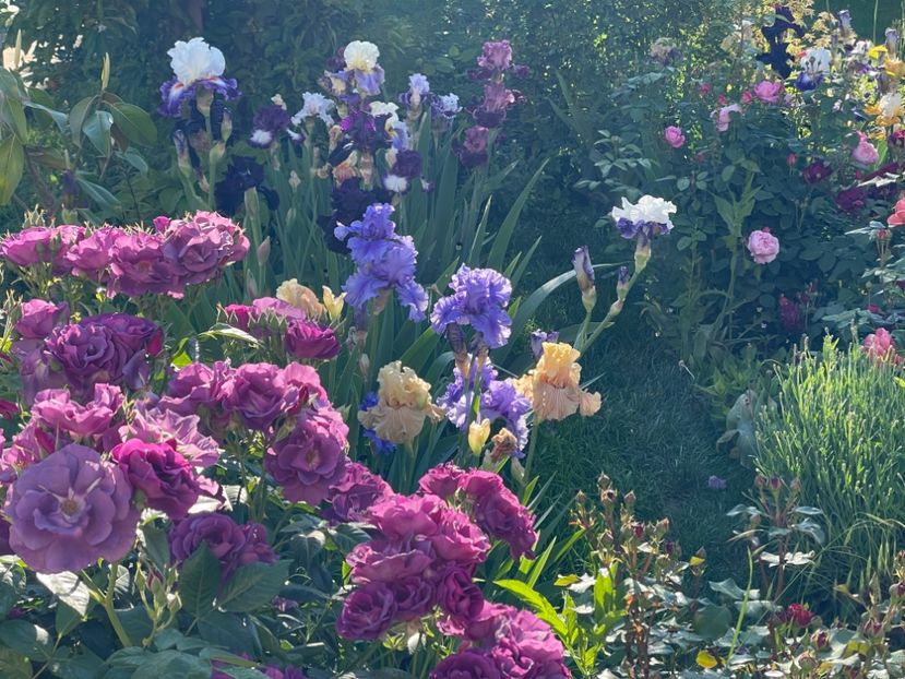  - 002 Grădina 2024 1