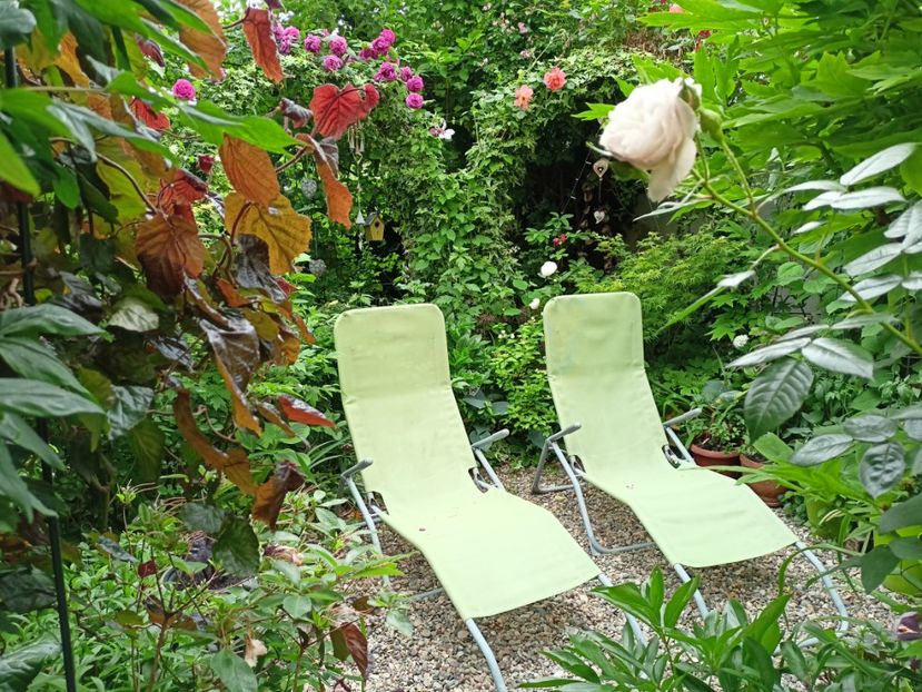  - Grădina 2024 continuare 2