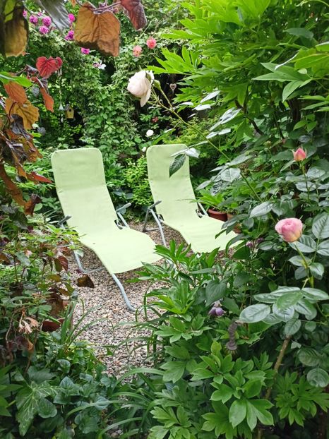  - Grădina 2024 continuare 2