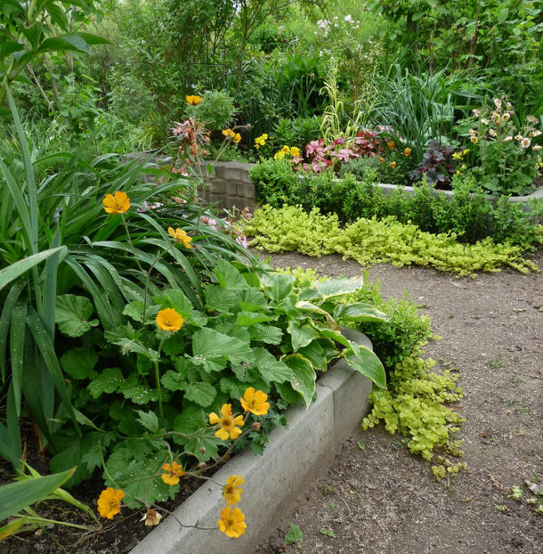  - 2024 - 01 - Primavara