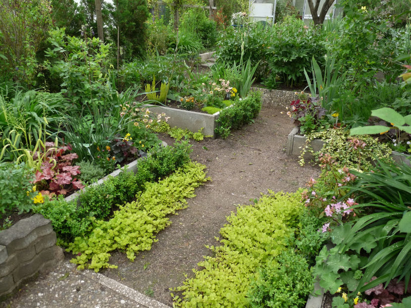  - 2024 - 01 - Primavara