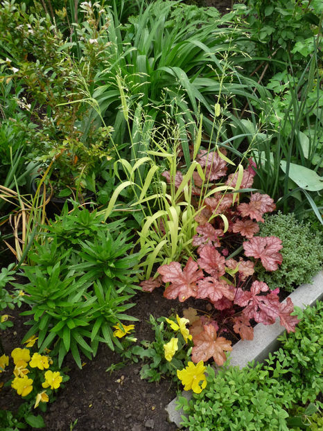  - 2024 - 01 - Primavara