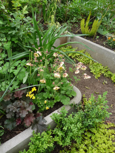  - 2024 - 01 - Primavara