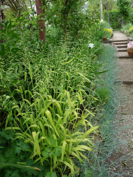  - 2024 - 01 - Primavara