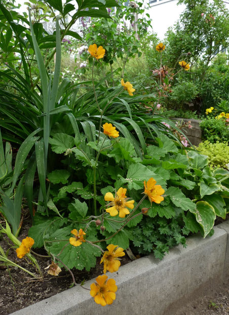  - 2024 - 01 - Primavara