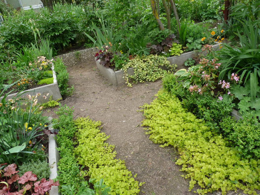  - 2024 - 01 - Primavara