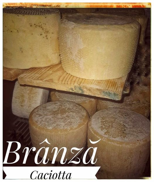 caciotta - Branzeturi maturate