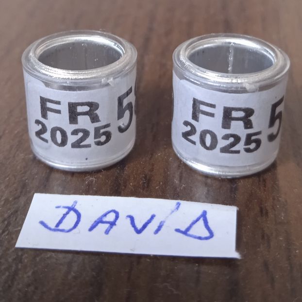 2025-FR fara talon....-1 leu - Inele 2014