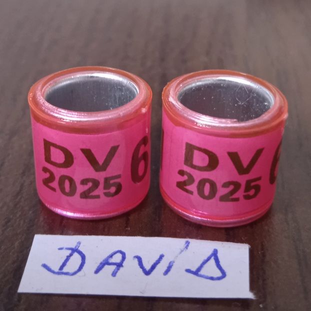 2025-DV fara talon....-1 leu - Inele 2014