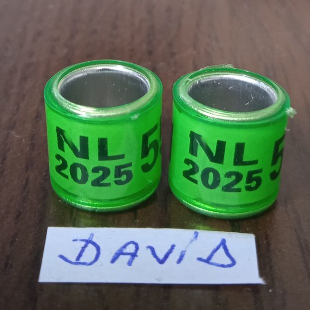 2025-NL fara talon....-1 leu - Inele 2014