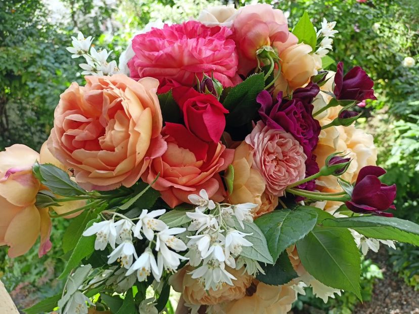  - Grădina 2024 continuare 2