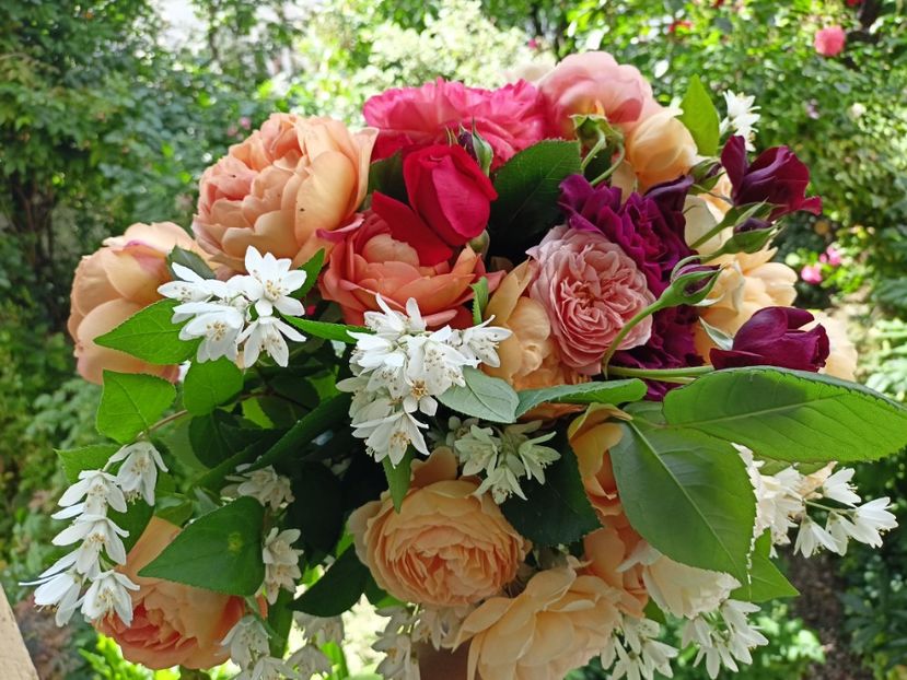  - Grădina 2024 continuare 2