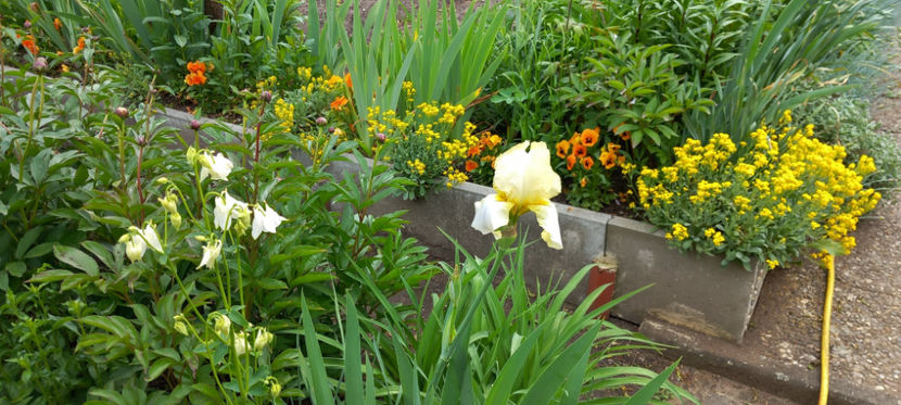  - 2024 - 01 - Primavara