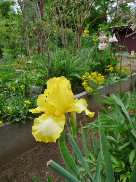  - 2024 - 01 - Primavara