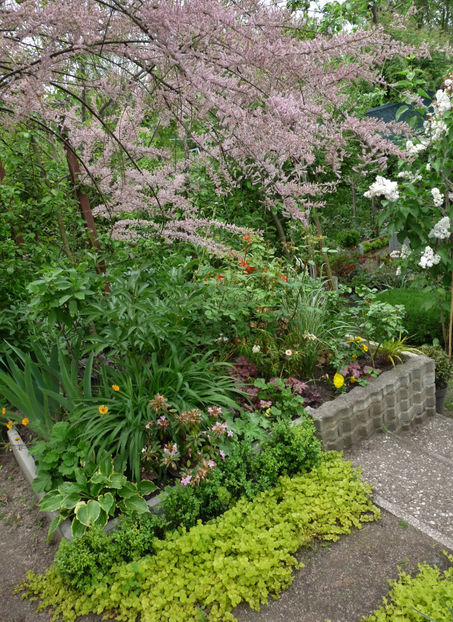  - 2024 - 01 - Primavara