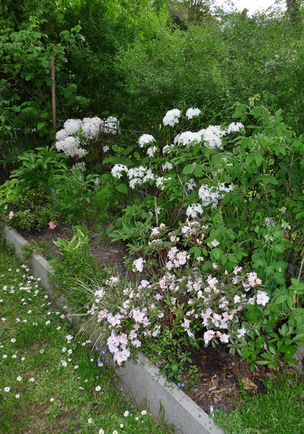  - 2024 - 01 - Primavara