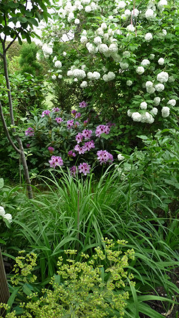  - 2024 - 01 - Primavara