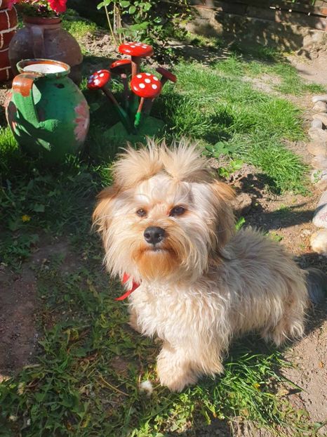 received_1491437421453702 - Flori 2024