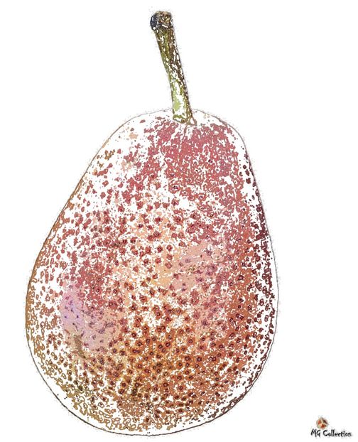 Para-Poire-Pear - A - DECO ART - CANADA