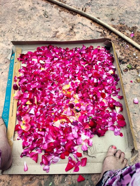 IMG20240519114116 - Mai 2024 vol 1