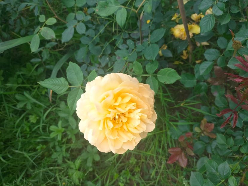 IMG20240519112210 - Mai 2024 vol 1