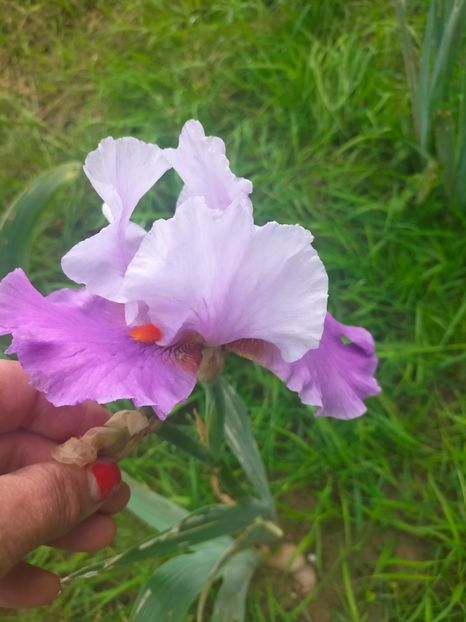 IMG20240519112001 - Mai 2024 vol 1