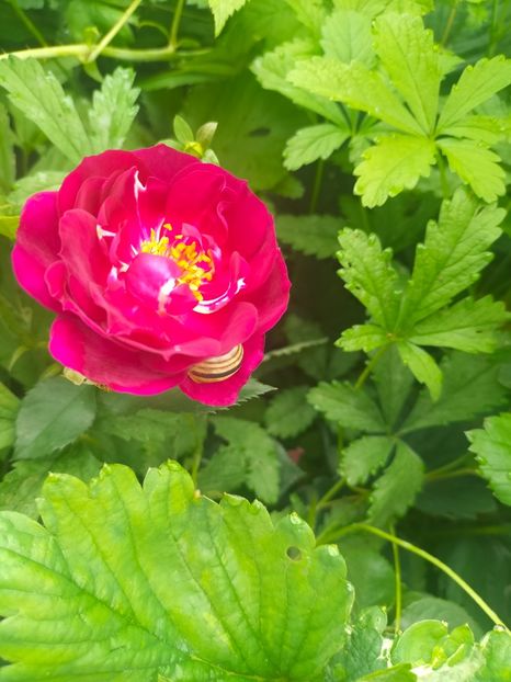 IMG20240519111408 - Mai 2024 vol 1