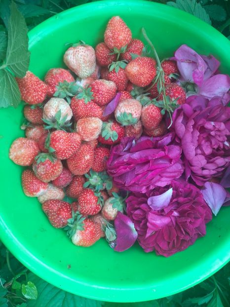 IMG20240519110837 - Mai 2024 vol 1