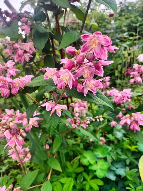 IMG20240519105203 - Mai 2024 vol 1