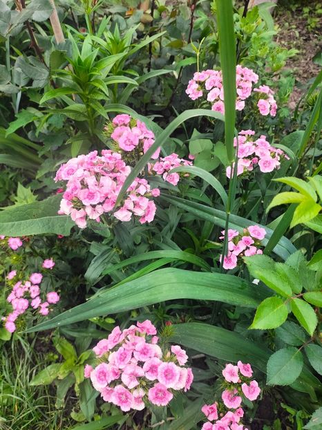 IMG20240519103822 - Mai 2024 vol 1