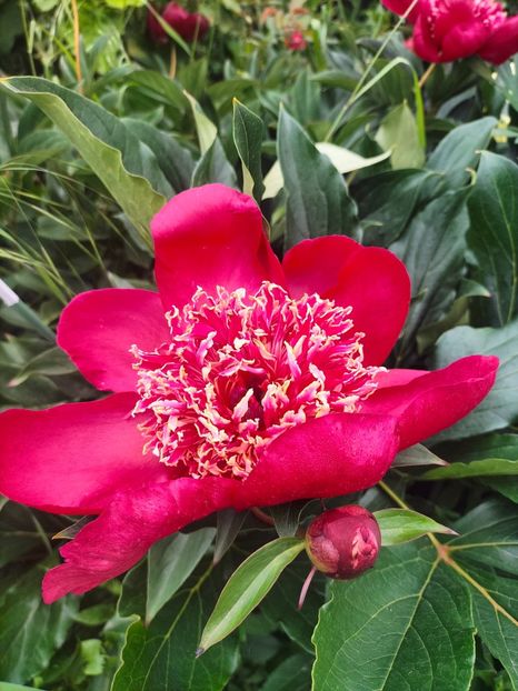 IMG20240519103811 - Mai 2024 vol 1