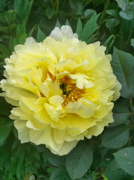 IMG20240519103808 - Mai 2024 vol 1