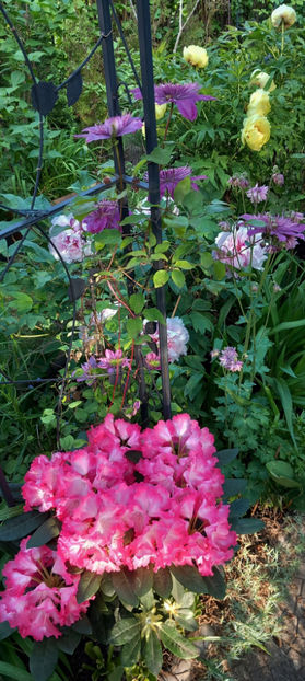  - 2024 - 01 - Primavara