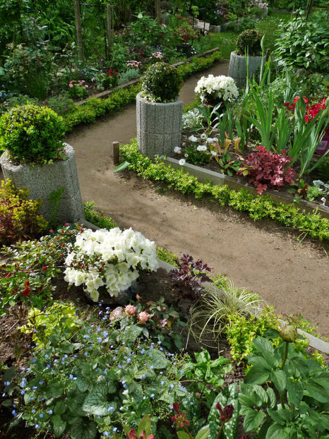  - 2024 - 01 - Primavara