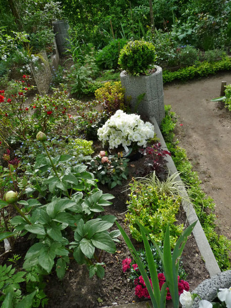  - 2024 - 01 - Primavara