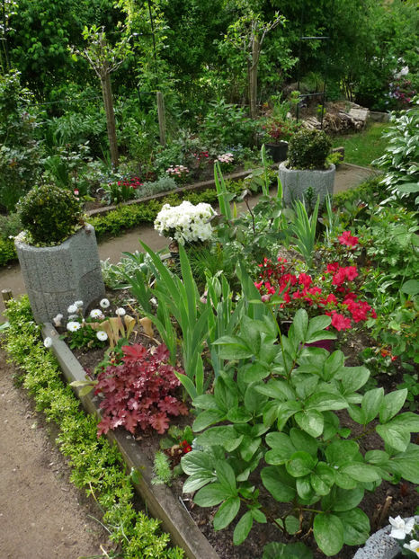  - 2024 - 01 - Primavara