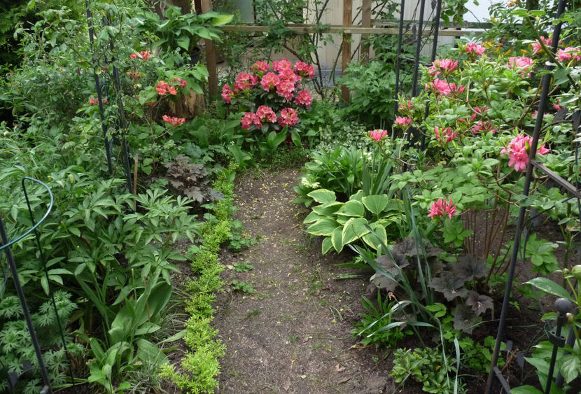  - 2024 - 01 - Primavara