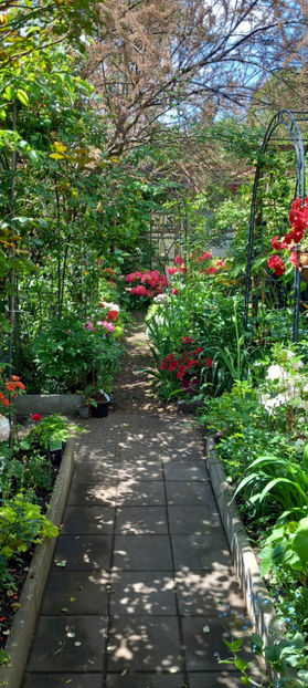  - 2024 - 01 - Primavara