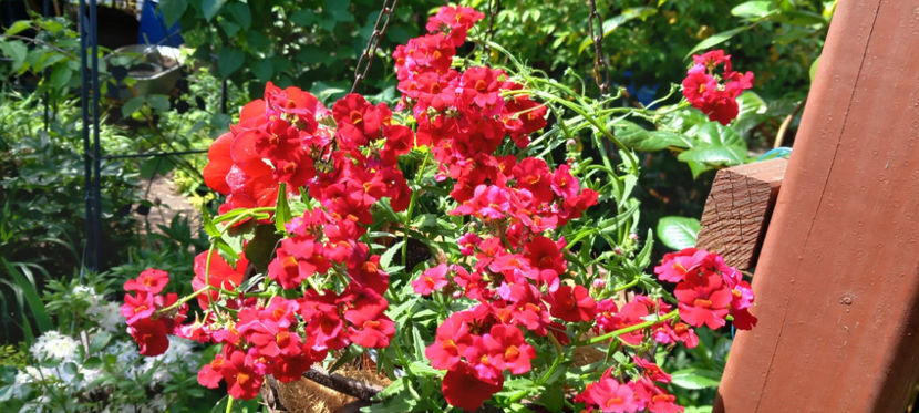  - 2024 - 01 - Primavara