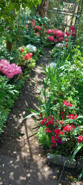  - 2024 - 01 - Primavara