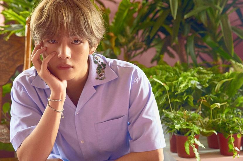 bts (2) - Love Yourself Her