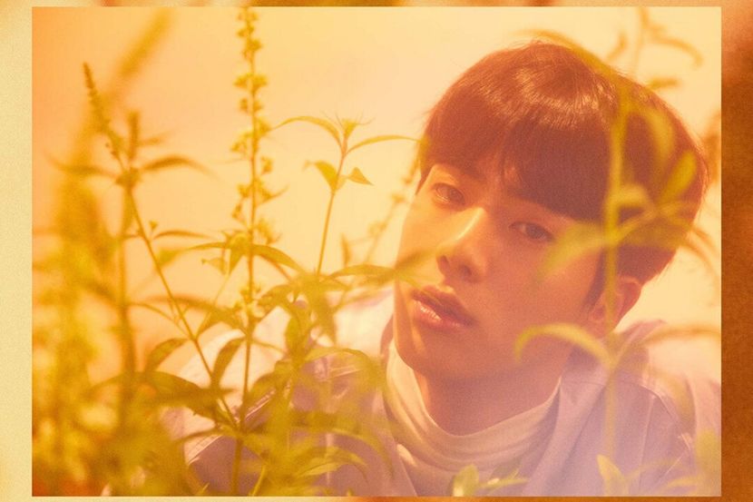 bts (14) - Love Yourself Her