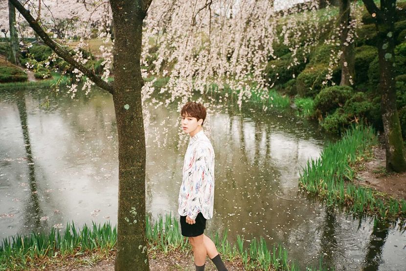bts (4) - The Most Beautiful Moment in Life PT 1