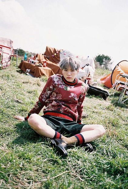 bts (24) - Young Forever