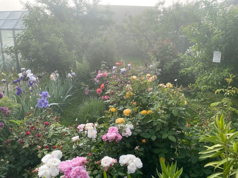  - 002 Grădina 2024 1