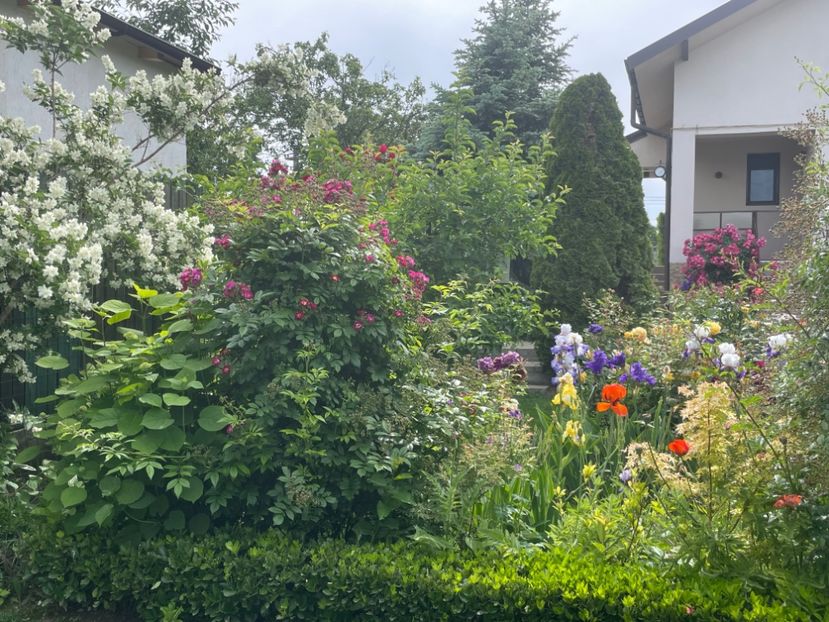  - 002 Grădina 2024 1