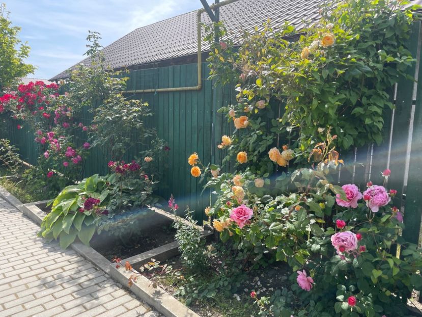  - 002 Grădina 2024 1