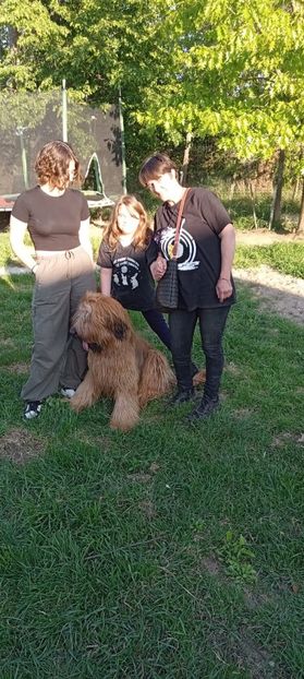 Ciobanesc de Brie Briard - BRIARD Ciobanesc de BRIE