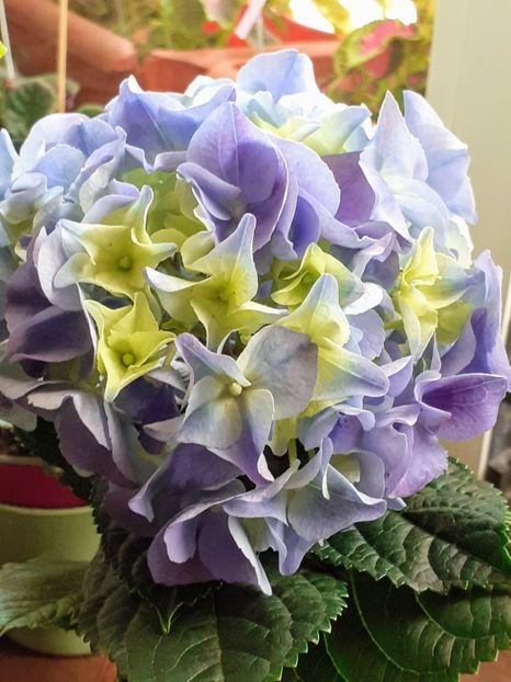 20240521_143116~2 - MAi 2024