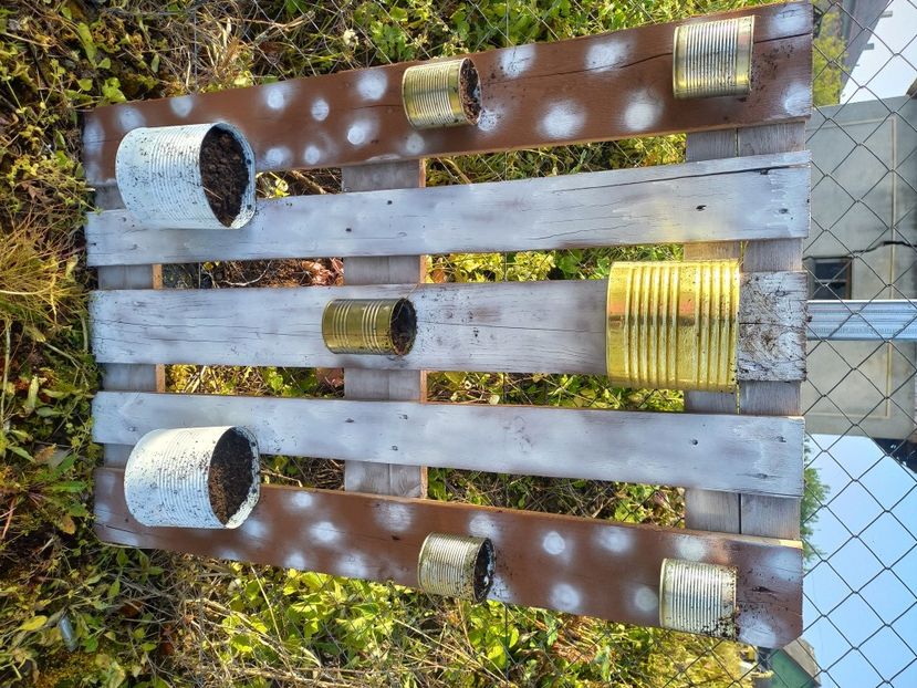  - Caravana Reciclarii Creative